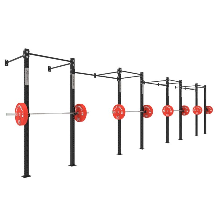 Wall Mounted Gym Equipment Rig