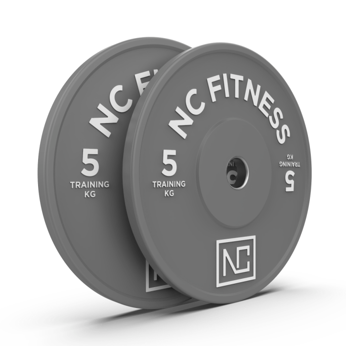 Bumper Plates 5kg GREY x 2